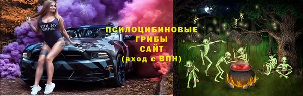 прущая мука Алзамай