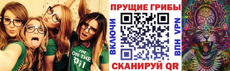 Псилоцибиновые грибы ЛСД  мега рабочий сайт  Ак-Довурак 